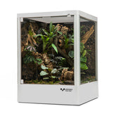 9.5 Gallon Reptile Terrarium 30 x 30 x 40cm