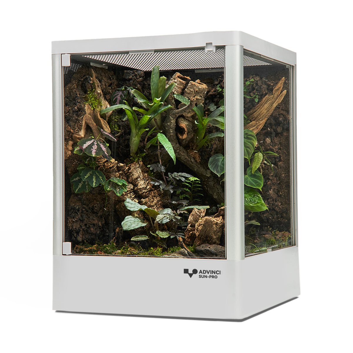 9.5 Gallon Reptile Terrarium 30 x 30 x 40cm